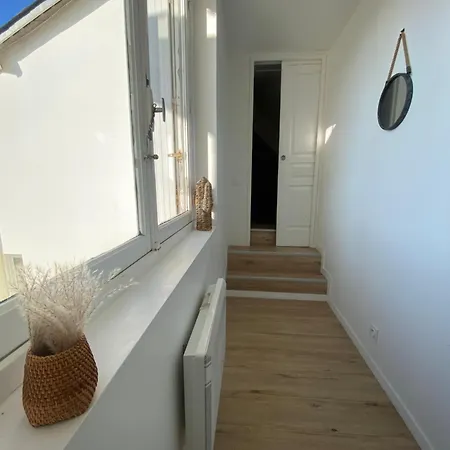 Joli Toit Terrasse Le Celtic Appartement Dinard